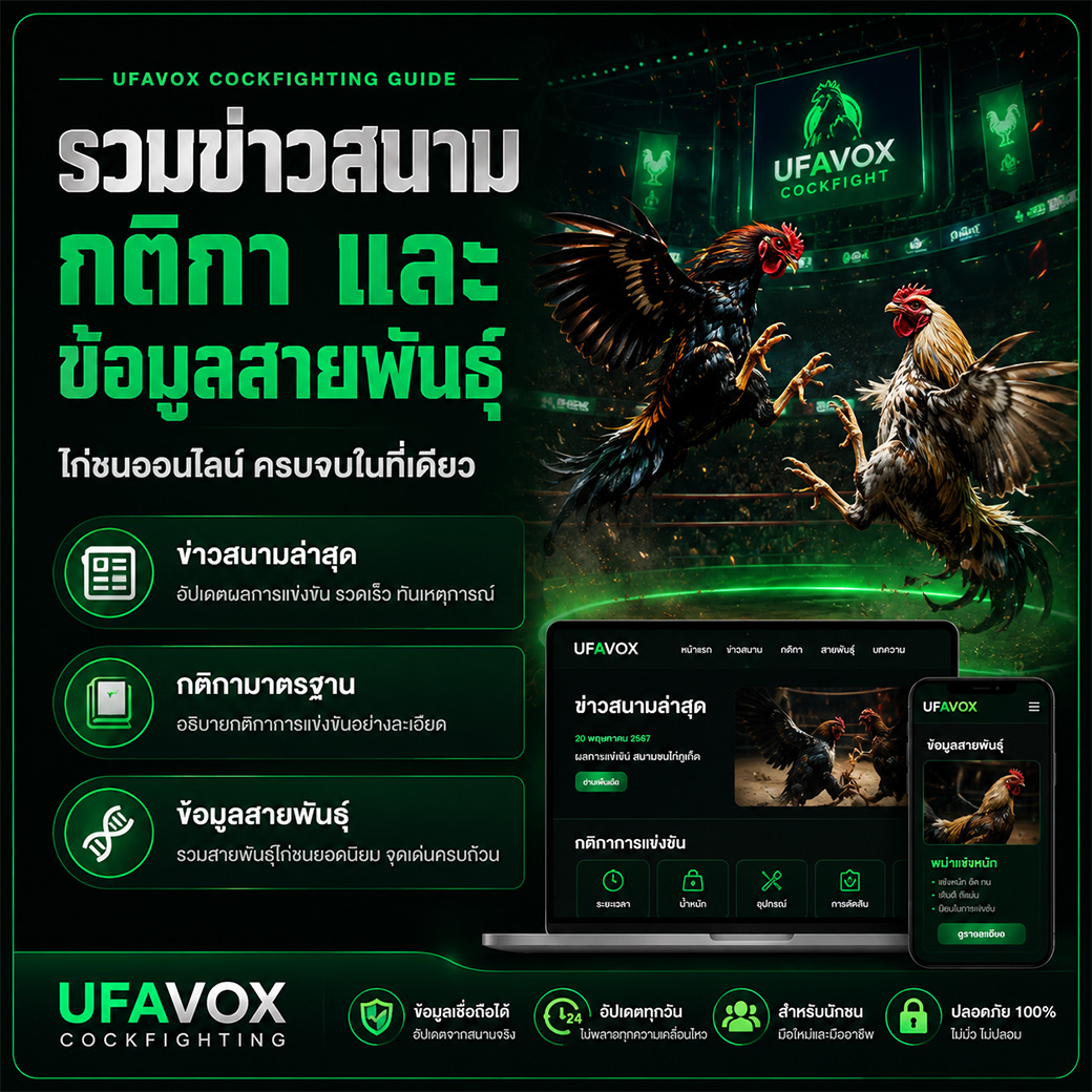 ไก่ชนออนไลน์ UFAVOX ดูไก่ชนสด ข่าวสนาม และกติกาการแข่งขัน
