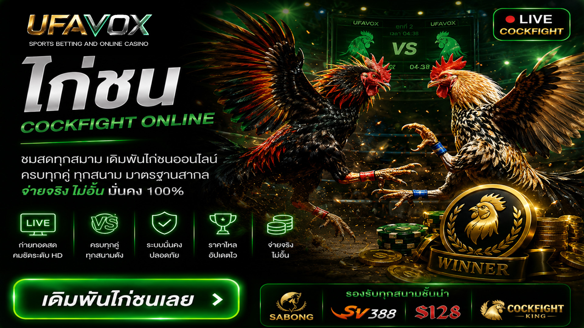 ข้อมูลไก่ชนออนไลน์ UFAVOX